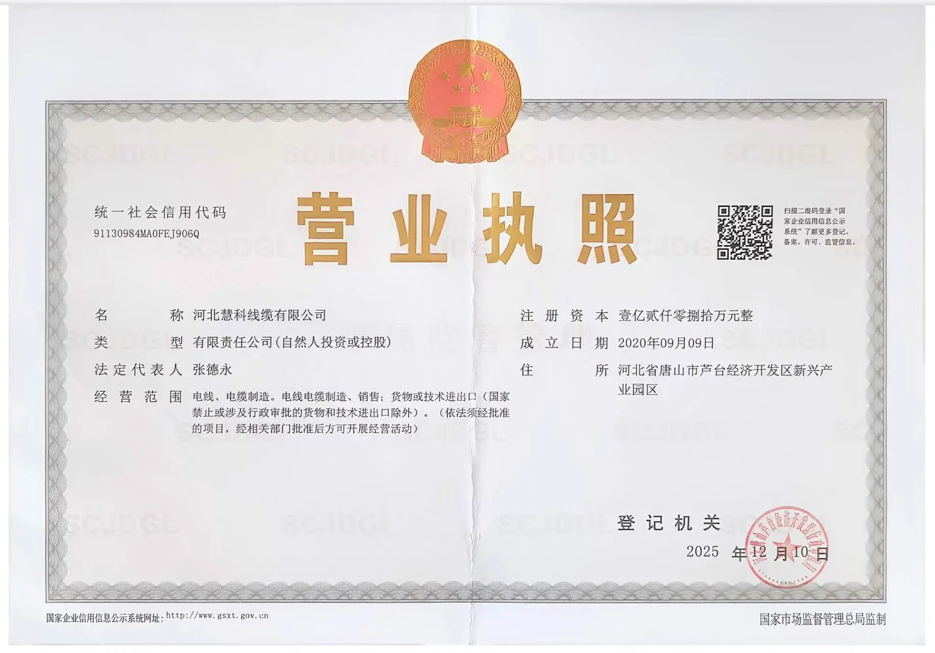 Business licence